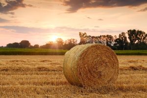 Innovatieve oplossingen en producten voor professionals in bouw- en landbouwsector met duurzame materialen en technologieën